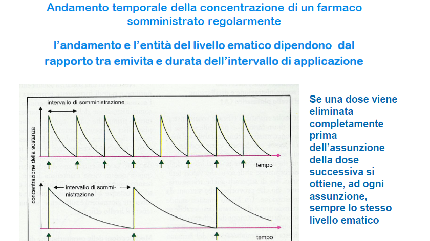 immagine 4 3